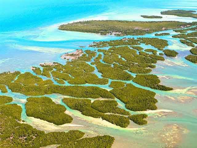 The Florida Keys are a 120 mile long chain of tropical islands curving around the base of the Florida peninsula, connected to the mainland by a series...