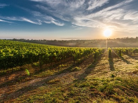 Got wine on your mind? Margaret River is the perfect bucket list destination for food and wine enthusiasts, with hundreds of world class wineries and ...