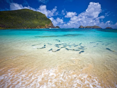 This tiny little island only ever allows 400 tourists on it at a time, making you feel like you have the place to yourself. Spend your days hiking, sc...