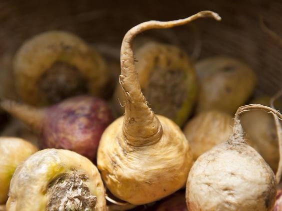 This sweet root vegetables has been nicknamed Peruvian Viagra, and animal studies have indicated some aphrodisiac qualities, although this hasn’...