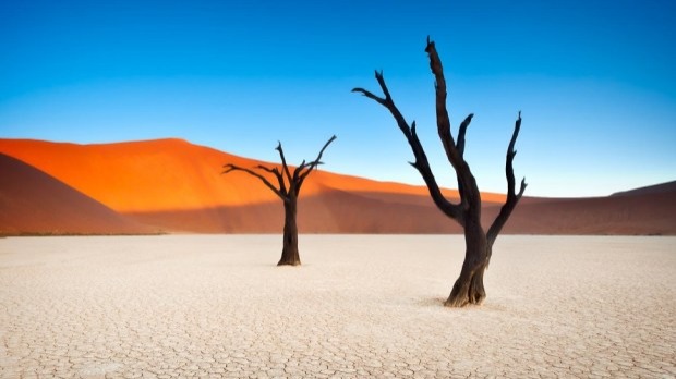 One of the most scarcely populated countries in the world, Namibia is not the right place to get lost. But it is a top destination for those who enjoy...