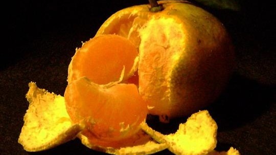 Mandarin tangerine peels, after being sundried, are often used as a warming agent to help the functions of the spleen and stomach, and balancing qi. L...