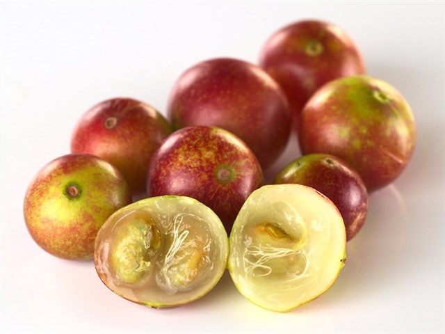 Camu camu has been called the new acai berry by those in the know. Why? This small fruit, somewhere between a grape and a lemon, contains more Vitamin...