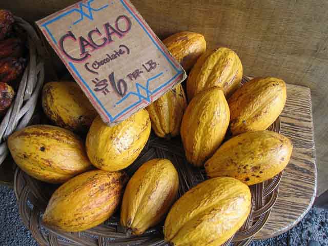 Cacao has been recognised as a superfood for a while now, and the good news is that Colombia produces large quantities of cacao throughout the country...