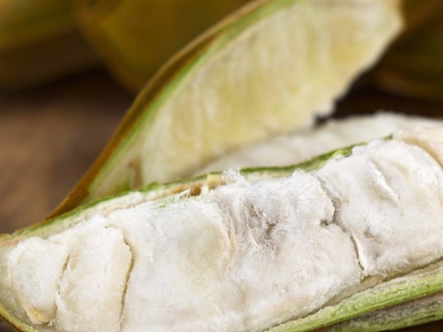 Pacay, or ice cream bean fruit, is a type of legume that grows throughout Colombia. The soft, white flesh surrounding the beans from the pod are also ...