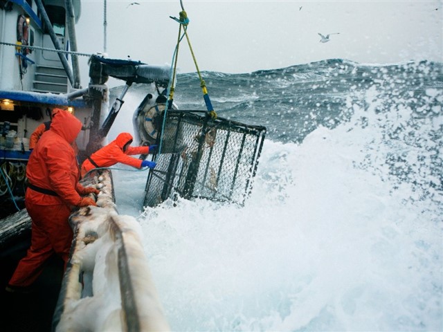 You may have seen the program on TV with the fishers from Alaska. This dangerous job is not a joke. They have to be able to work up to 24 hours a day,...