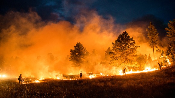 Wildfires, or forest fires, are uncontrolled fires burning in wildland areas. Common causes include lightning, human carelessness, arson, volcano erup...