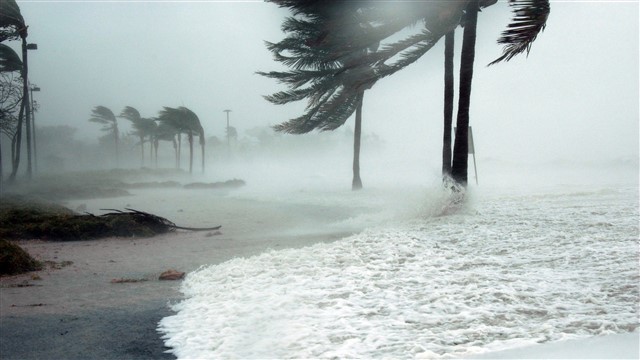 Hurricanes, tropical cyclones, and typhoons are different names for the same phenomenon: a cyclonic storm system that forms over the oceans. It is cau...