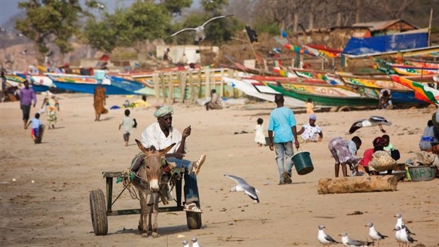 Both one of the African continent’s smallest and poorest nations. With an area of roughly 11,000 square kilometers, and a population of roughly ...