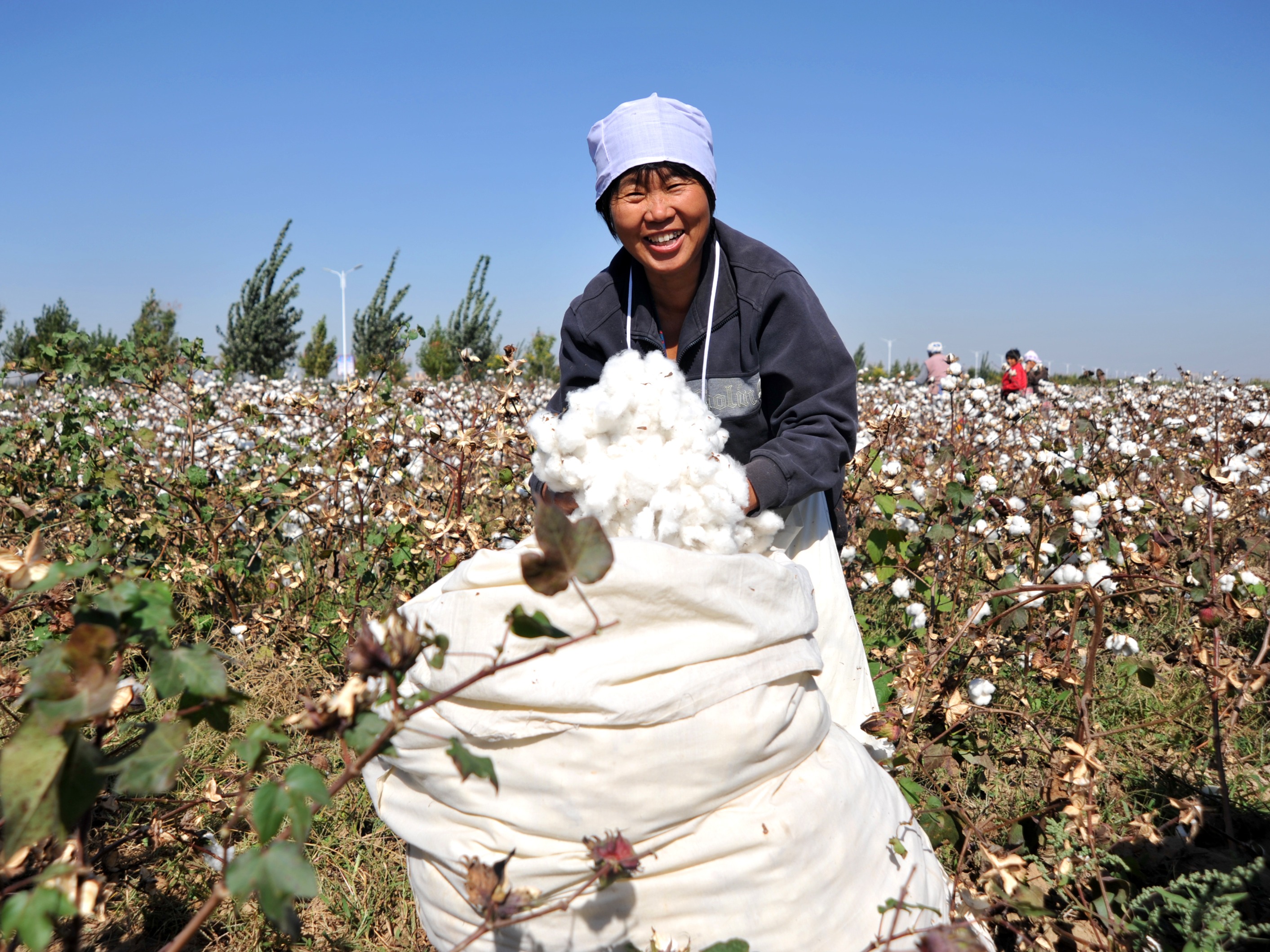 Cotton Production in Thousand Metric Tonnes:  6,532