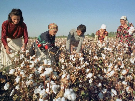 Cotton Production in Thousand Metric Tonnes: 849