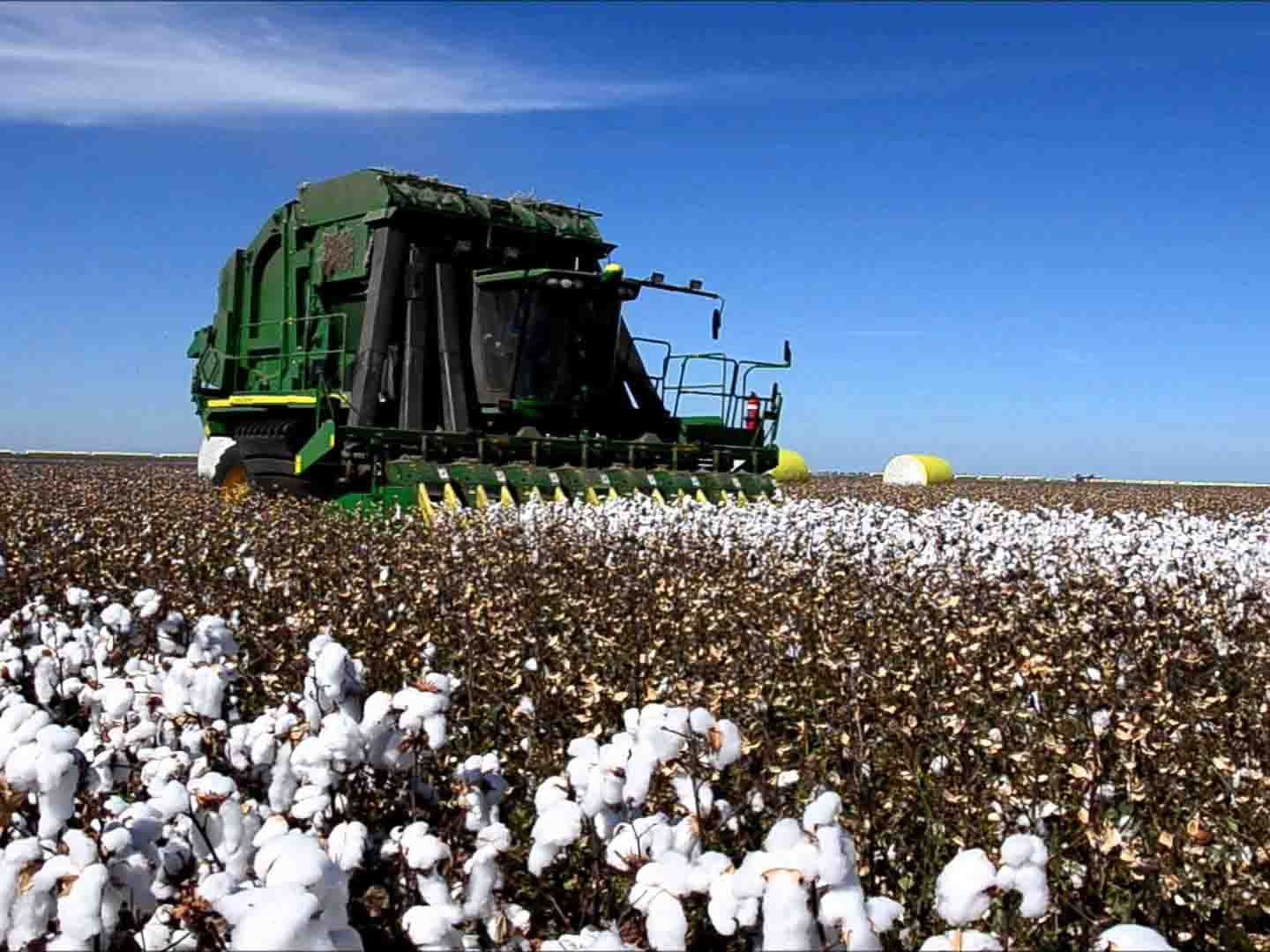 Cotton Production in Thousand Metric Tonnes: 501