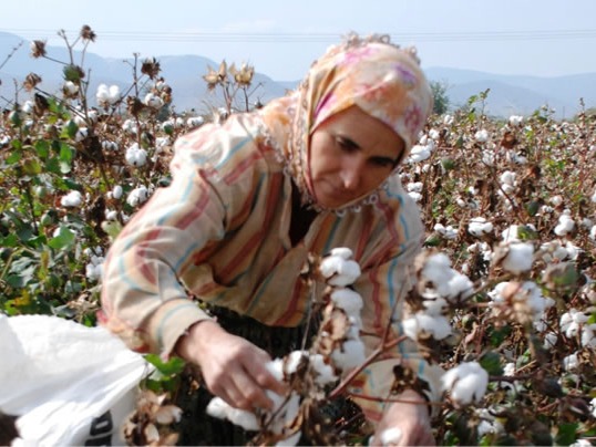 Cotton Production in Thousand Metric Tonnes: 332